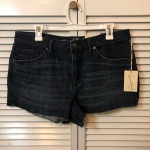 Universal Thread Denim Shorts